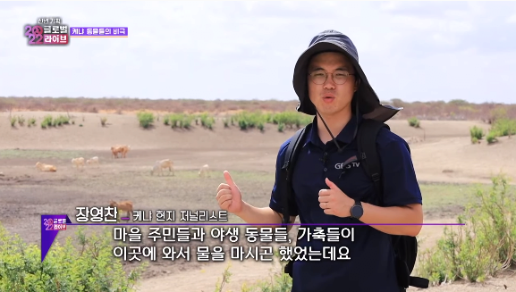15.png (약혐)말라가는 케냐 죽어가는 동물들