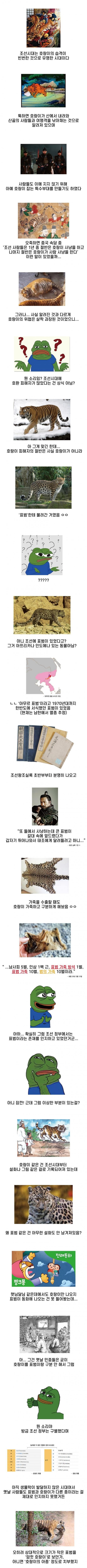 김짤.com_001.jpg