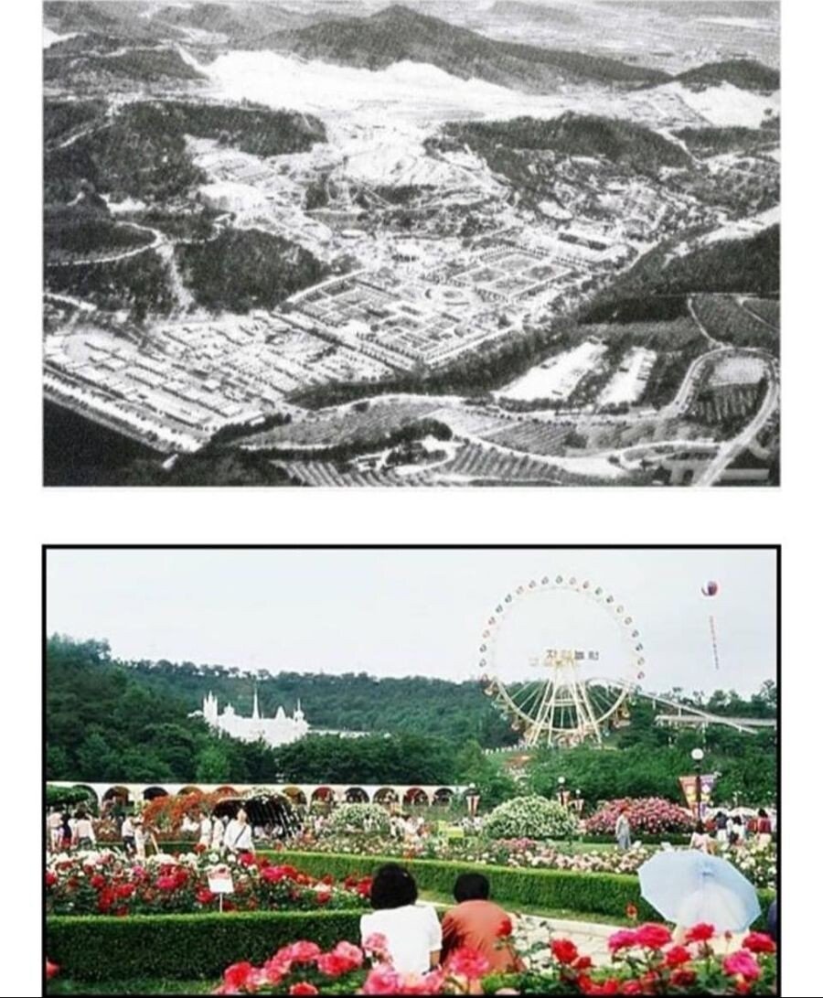 에버랜드1.jpeg