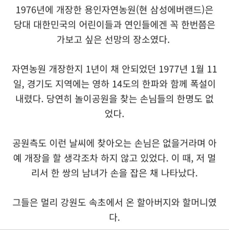 에버랜드2.jpeg