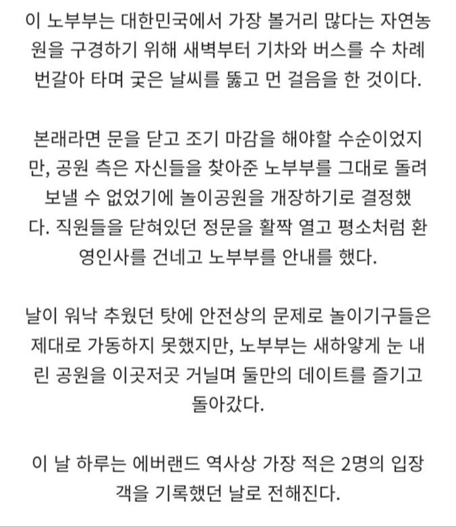 에버랜드3.jpeg