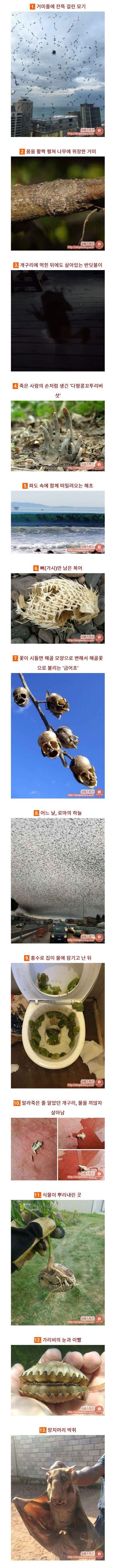 다운로드 (1).jpg