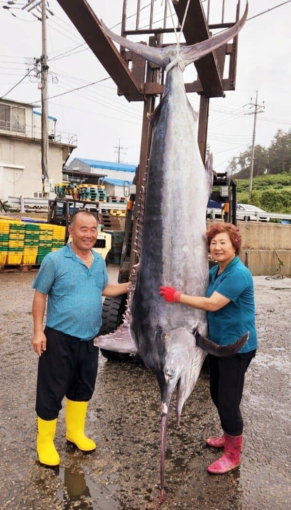 image.png 지금은 모두가 알고 있는 세계의 아열대화