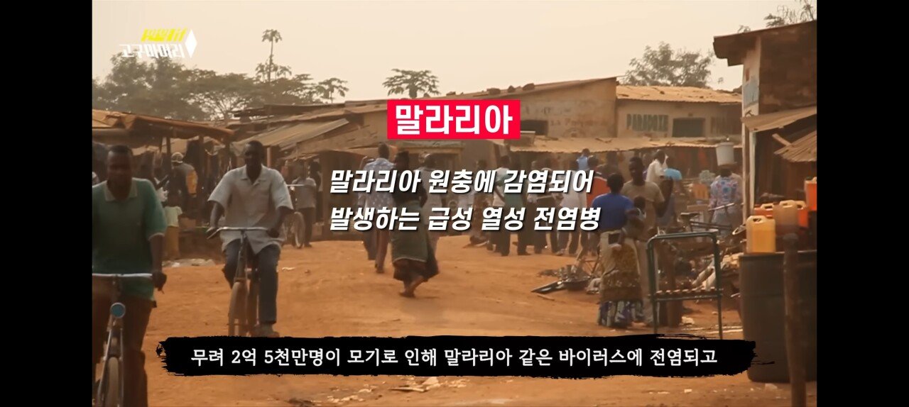 김짤.com_002.jpg