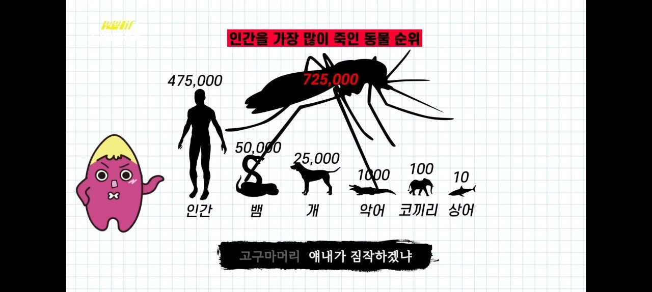 김짤.com_001.jpg