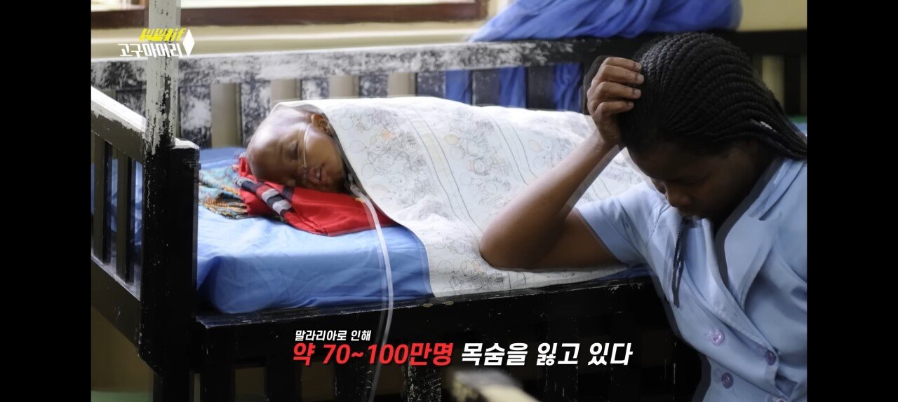 김짤.com_003.jpg
