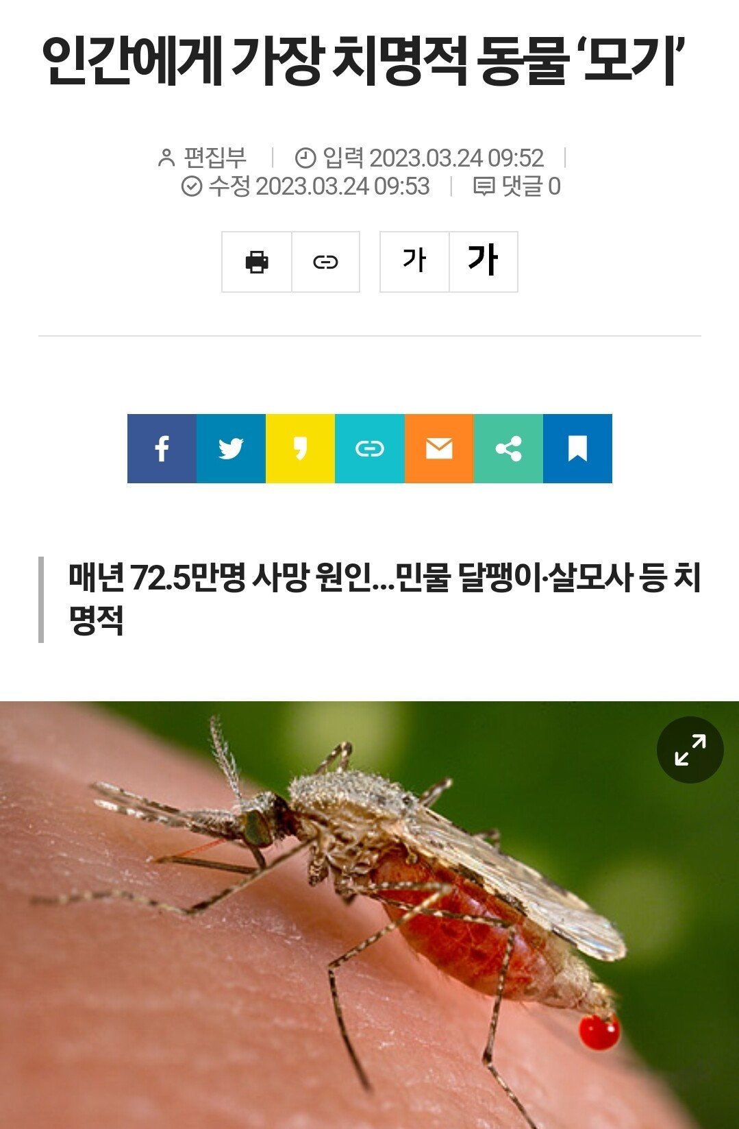 김짤.com_004.jpg