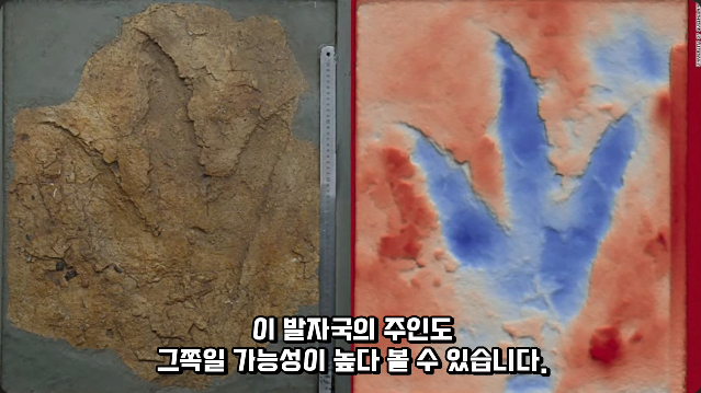 김짤.com_030.png