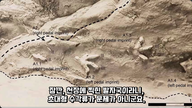 김짤.com_010.png