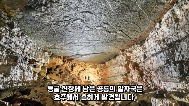 김짤.com_014.png