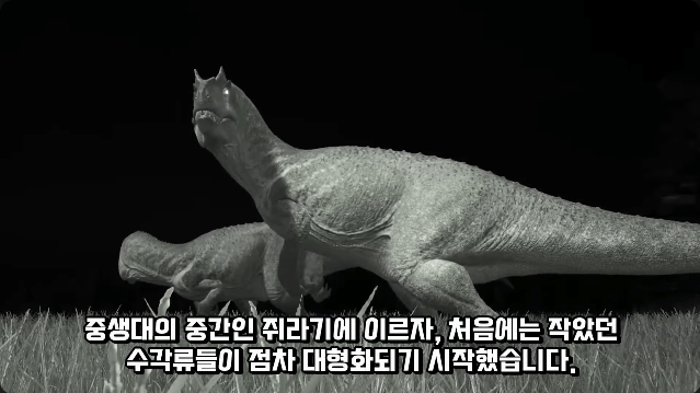 김짤.com_001.png