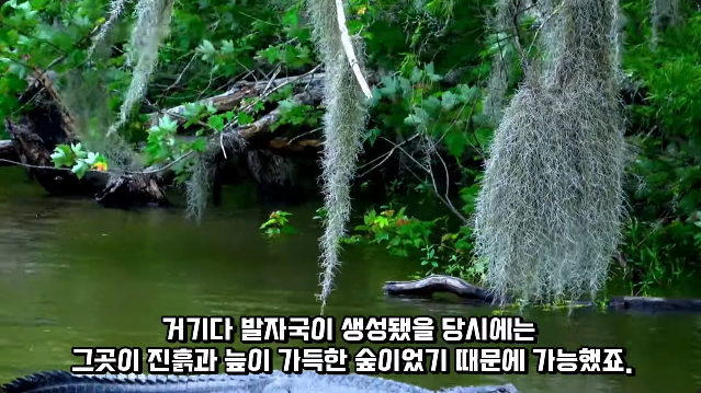 김짤.com_018.png