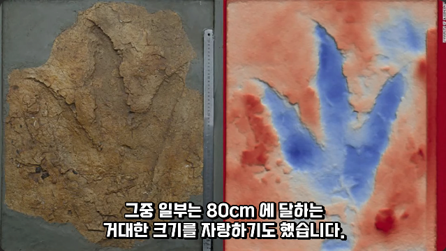 김짤.com_022.png