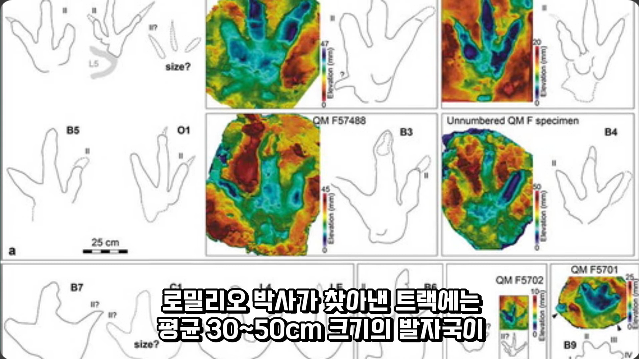 김짤.com_020.png