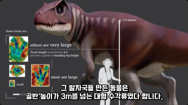 김짤.com_024.png