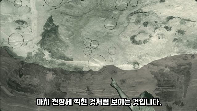 김짤.com_017.png