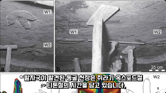 김짤.com_028.png