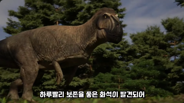 김짤.com_035.png