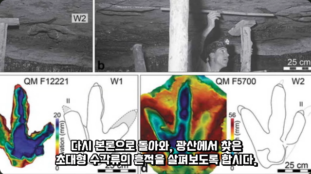 김짤.com_019.png
