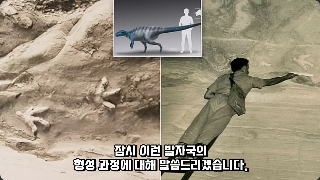 김짤.com_013.png