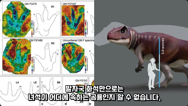 김짤.com_032.png
