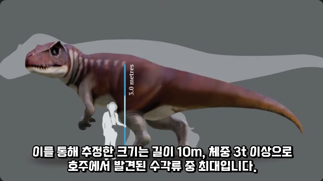 김짤.com_025.png