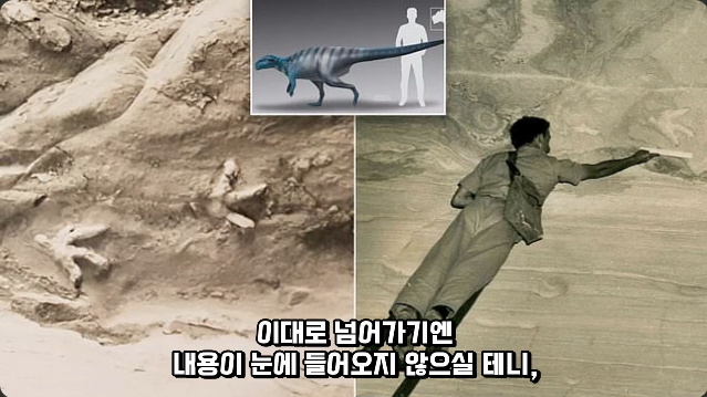 김짤.com_012.png