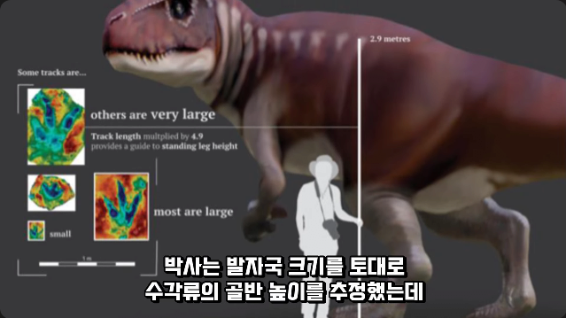 김짤.com_023.png