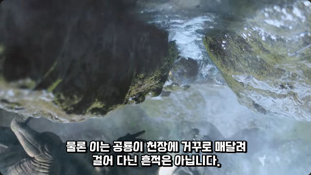 김짤.com_015.png