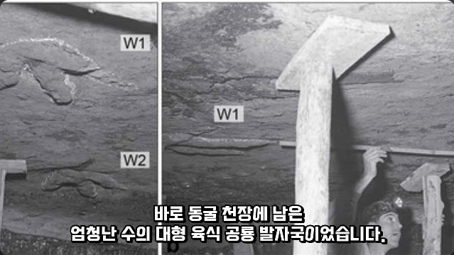 김짤.com_009.png