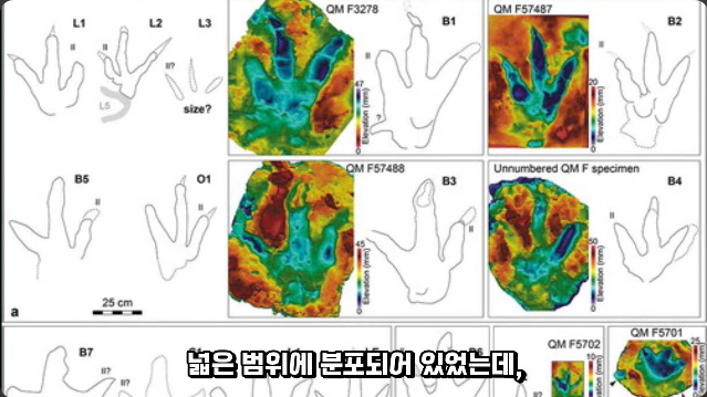 김짤.com_021.png