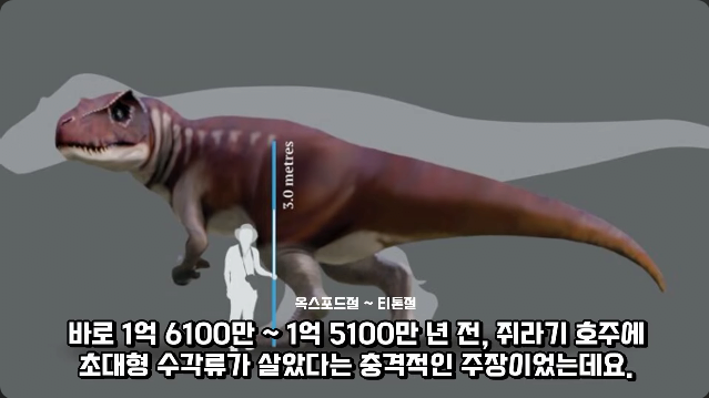 김짤.com_006.png