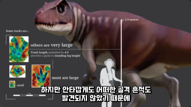 김짤.com_031.png