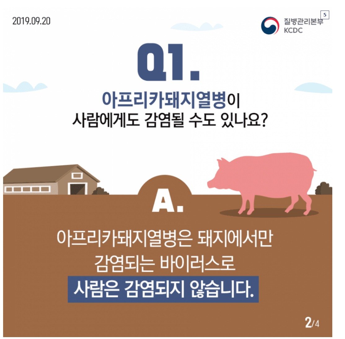 스크린샷_24-9-2024_172827_gall.dcinside.com.jpeg 북한의 돼지고기 품질에 관하여 araboja.