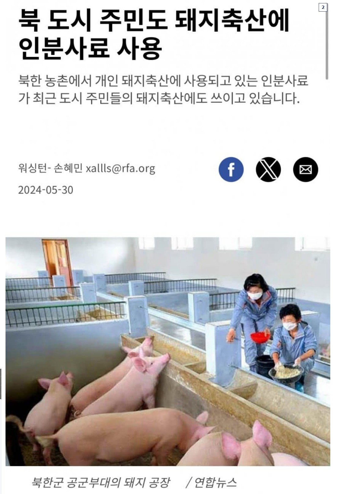 스크린샷_24-9-2024_172435_gall.dcinside.com.jpeg 북한의 돼지고기 품질에 관하여 araboja.