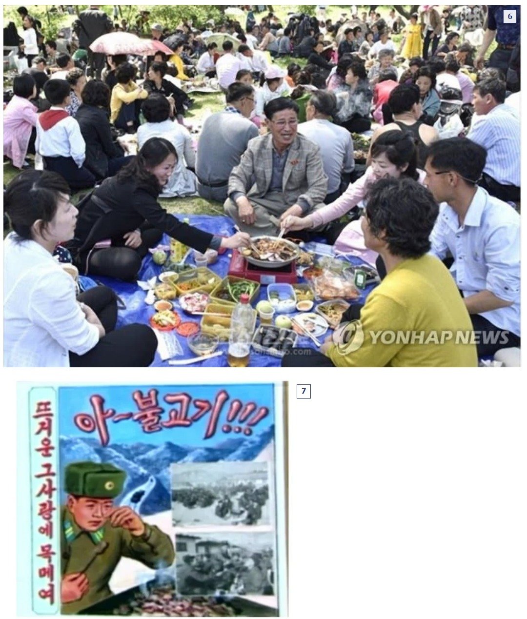 스크린샷_24-9-2024_173212_gall.dcinside.com.jpeg 북한의 돼지고기 품질에 관하여 araboja.