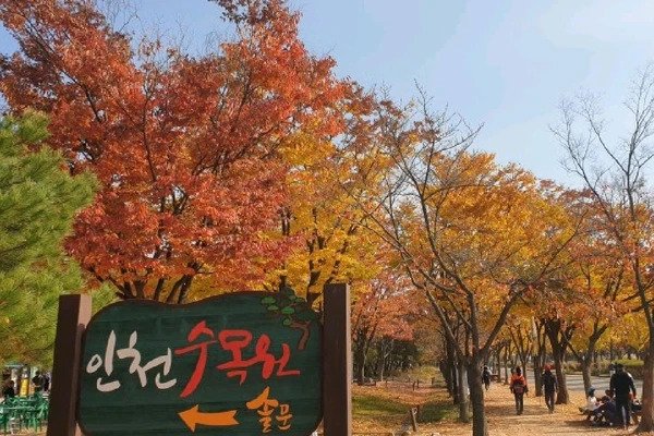 1i6742224pio5kf0w0654_R_600_400_R5_Q90.webp.ren.jpg (재업) 인천광역시에서 살기 괜찮은 동네 10곳