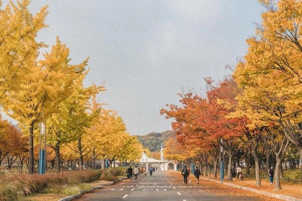 1i63a2215cc51xktcCE48_R_600_400_R5_Q90.webp.ren.jpg (재업) 인천광역시에서 살기 괜찮은 동네 10곳