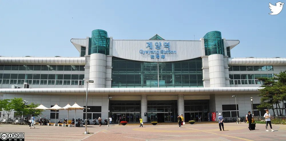 -n5DPknjZcglgCKxTpmM6l6LCqX8kOrXgWklb20R04KWpf6Dg4d7uDwq0PmcalNY3Ae5-yzxsl0phHz4NqoMtQ.webp.ren.jpg (재업) 인천광역시에서 살기 괜찮은 동네 10곳