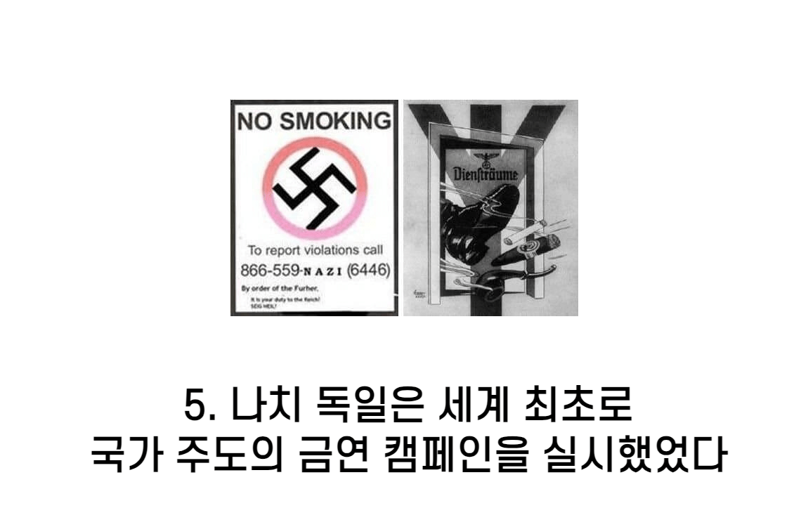 f5.png 2차 세계대전 쓸모 없는 지식 TOP 10