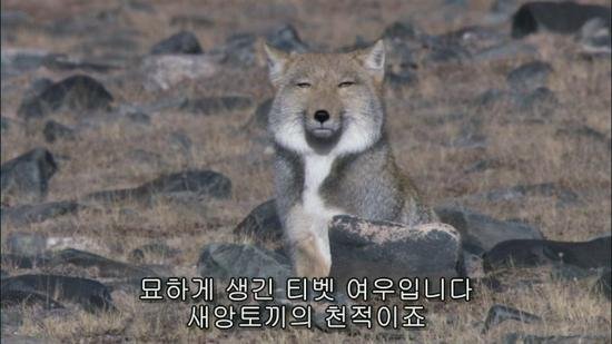 6903DABB-CB59-4769-B5AF-A781C0983C7C.jpeg