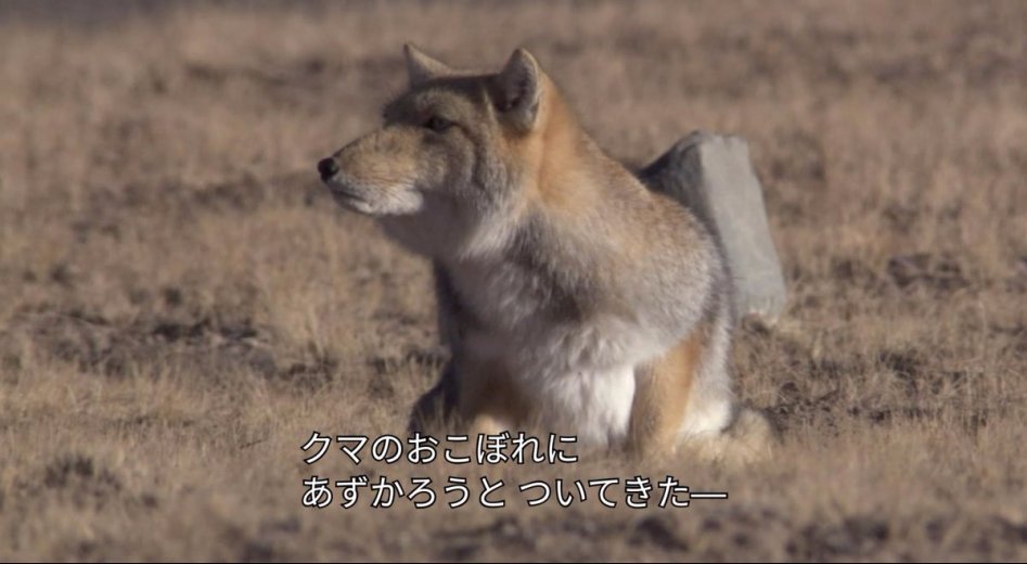 E0DA4090-48C5-436A-86F7-DC61E176AF69.jpeg