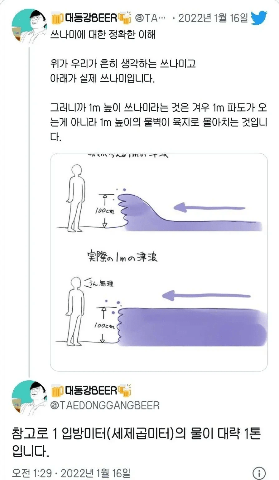 image.png 우리가 생각하는 쓰나미 vs 찐 쓰나미