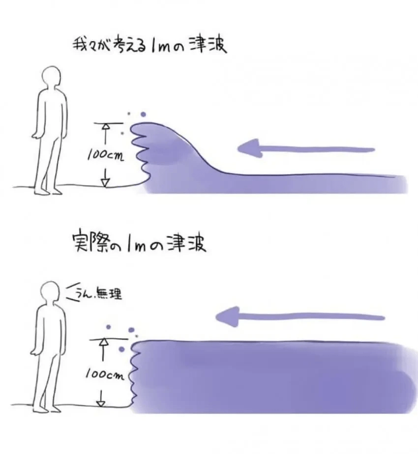 image.png 우리가 생각하는 쓰나미 vs 찐 쓰나미