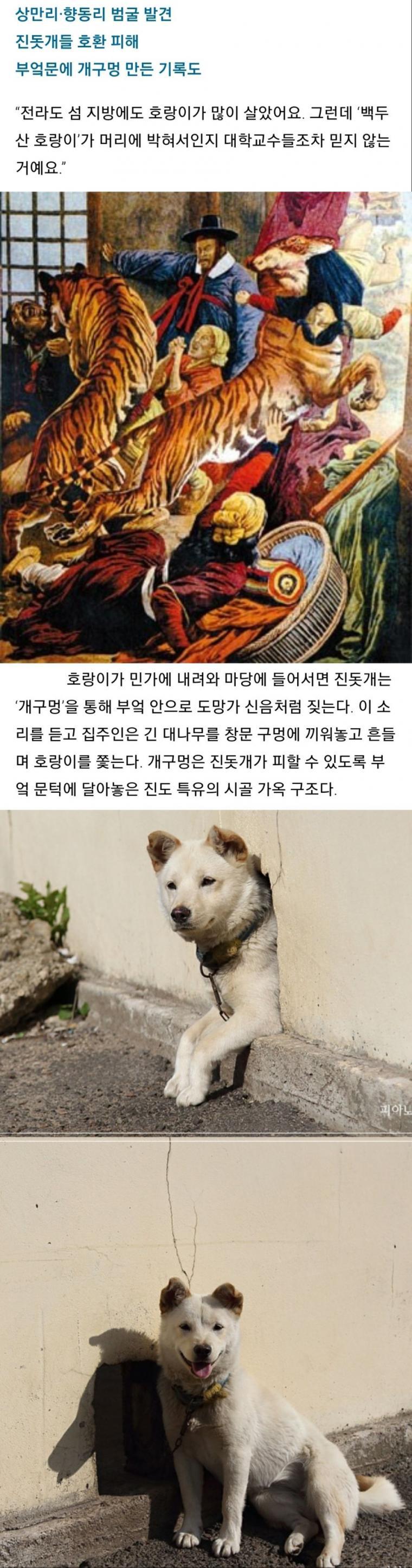 한국에서 개구멍이 생겨난 이유.jpg