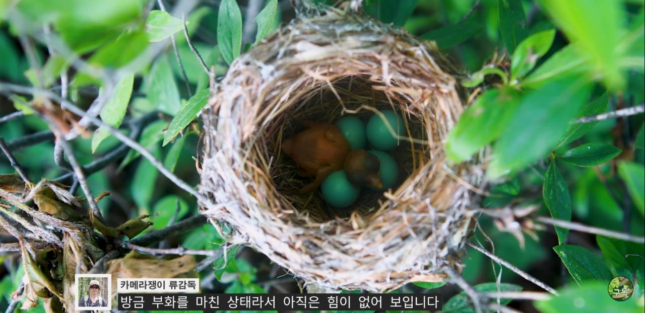 Screenshot_20220802-002031_YouTube.jpg