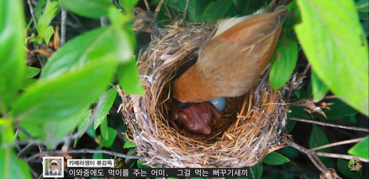 Screenshot_20220802-002931_YouTube.jpg