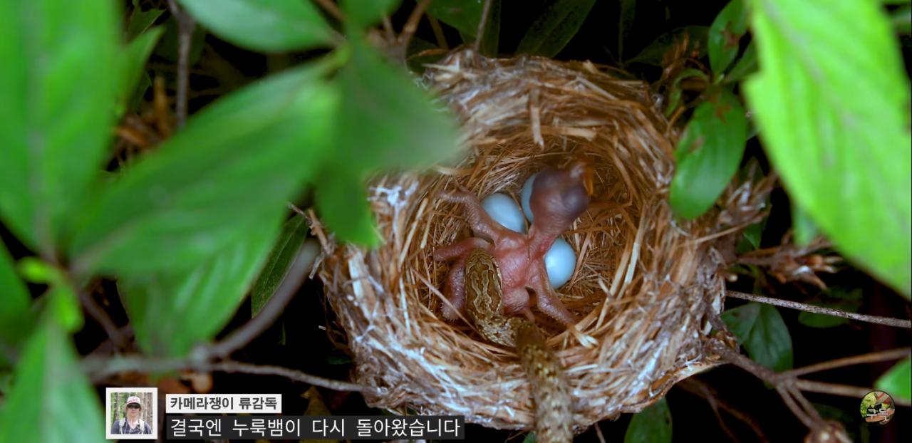 Screenshot_20220802-003230_YouTube.jpg