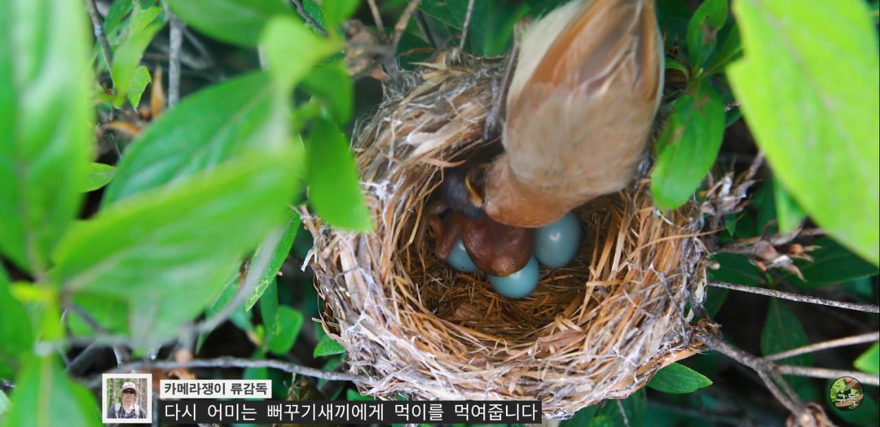 Screenshot_20220802-002431_YouTube.jpg
