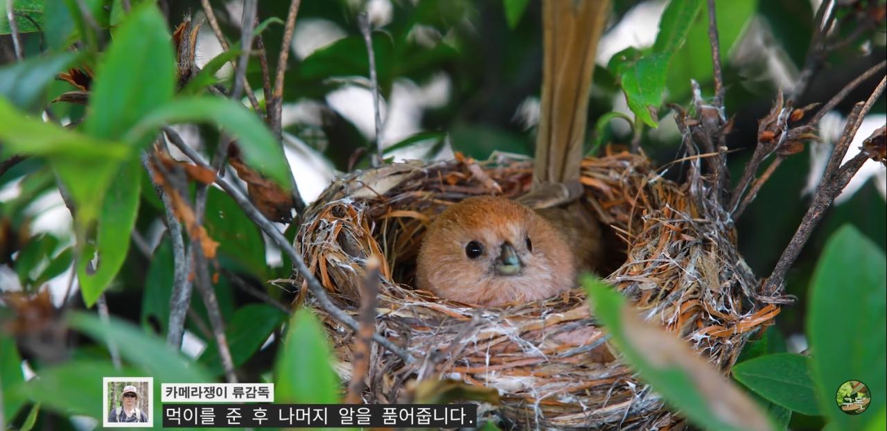 Screenshot_20220802-002127_YouTube.jpg